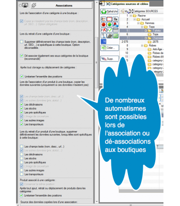 PrestaCatégories automatismes d'association aux boutiques