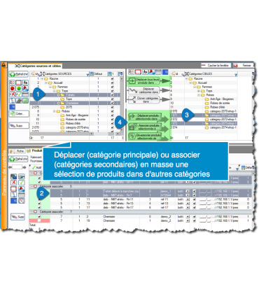 PrestaCatégories déplacer ou associer par groupe les produits aux catégories principales et secondaires