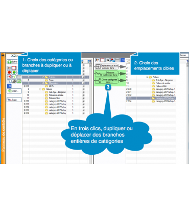 PrestaCatégories déplacer ou dupliquer des branches de catégories en trois clics
