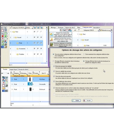  PrestaCatégories - Clonage ou duplication en masse des branches de catégories-Options 