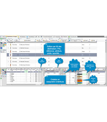  PrestaPricing- Assigantion en masse des attributs aux déclinaisons et filtrage 