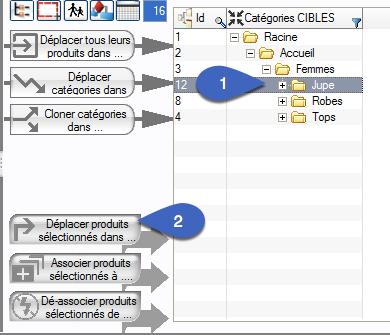 Comment rattacher un produit orphelin dans une catégorie dans PrestaCatégories