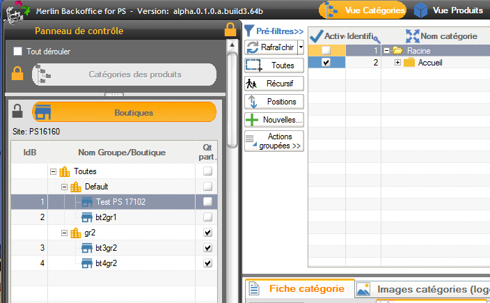 Vue du module en mode gestion des catégories