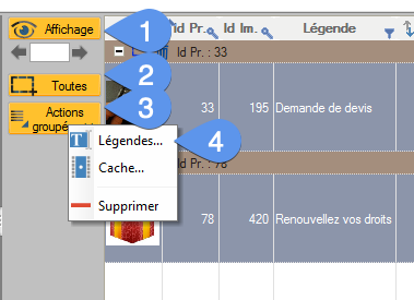 Modifier en masse les légendes des photos actuelles