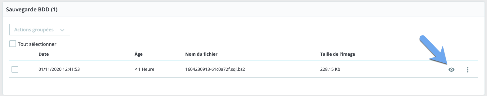 Télécharger la sauvegarde