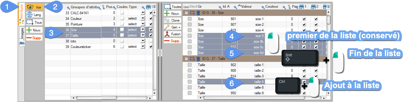 Sélection d'attributs avec shift ou ctrl