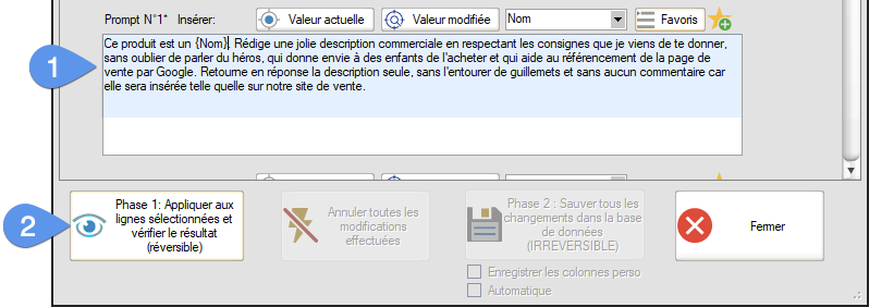 Le prompt complet