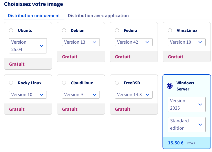 Choisir le type d'OS, Windows 11